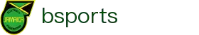 BSports体育：高清赛事直播、实时数据与专业分析