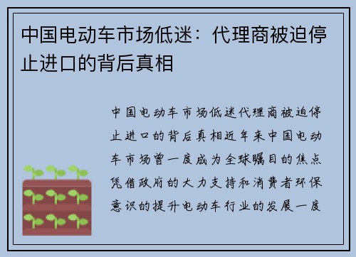中国电动车市场低迷：代理商被迫停止进口的背后真相
