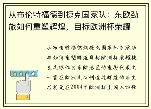 从布伦特福德到捷克国家队：东欧劲旅如何重塑辉煌，目标欧洲杯荣耀